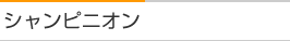 VsjI